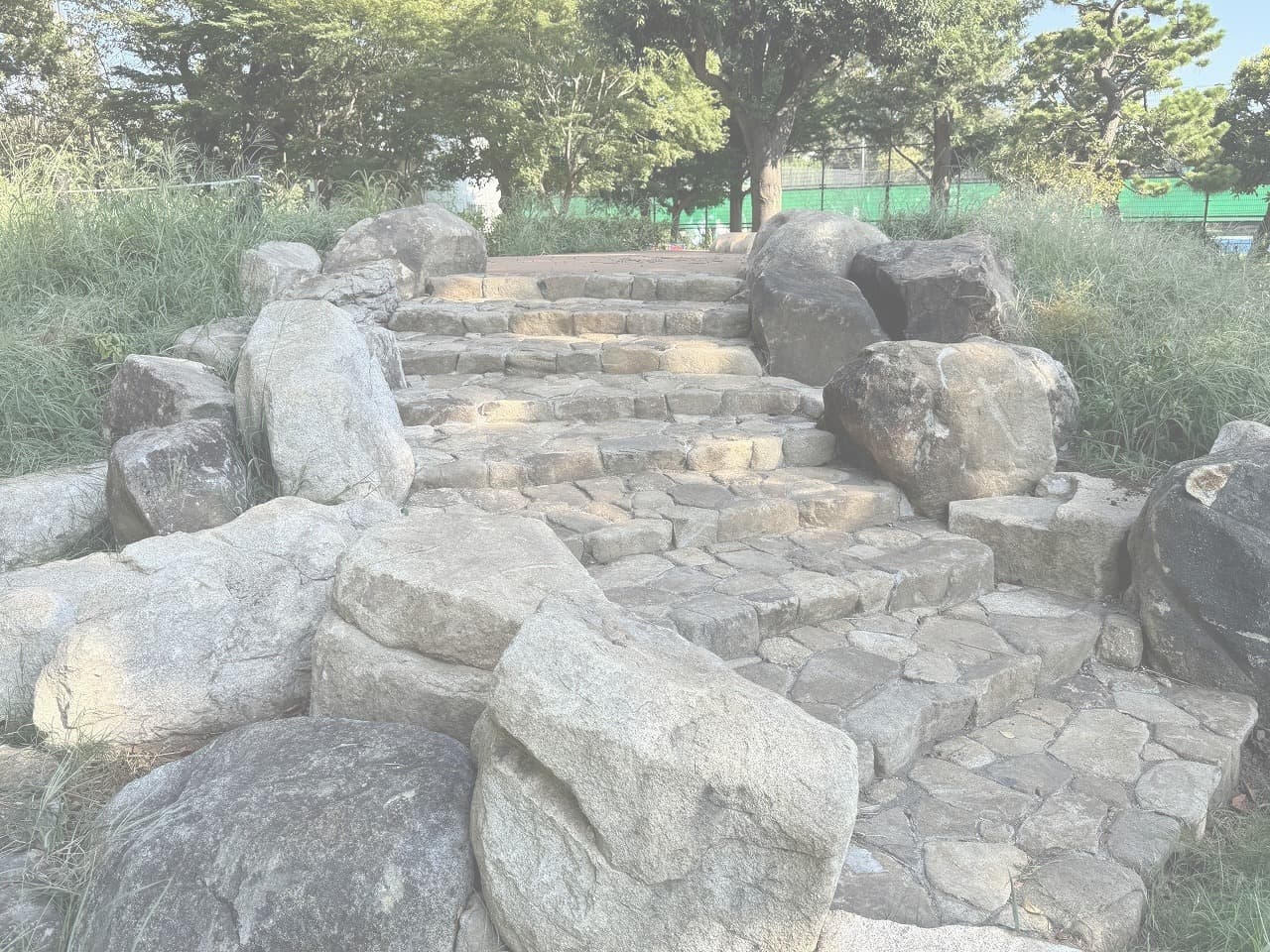 大蔵運動公園_湘南ロックガーデン