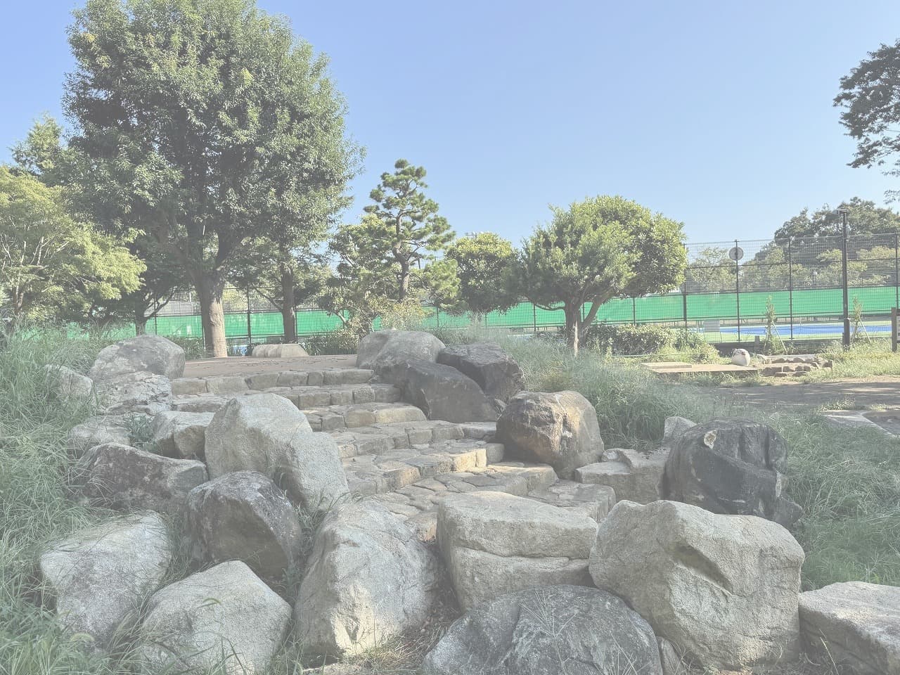 大蔵運動公園_湘南ロックガーデン