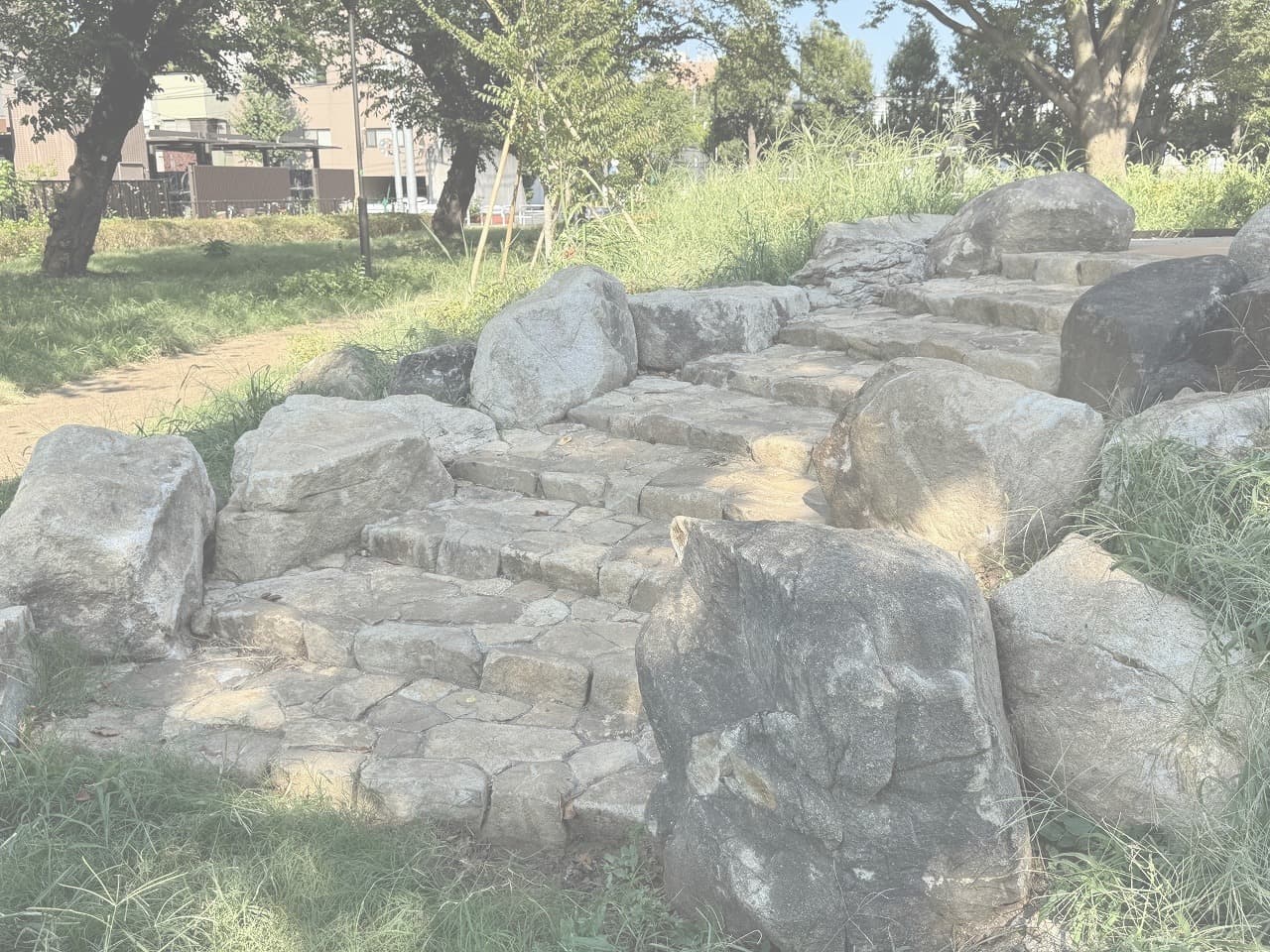 大蔵運動公園_湘南ロックガーデン