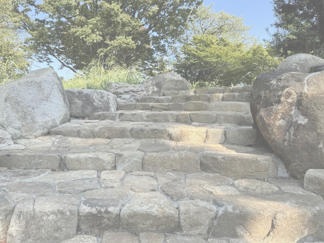 大蔵運動公園_湘南ロックガーデン