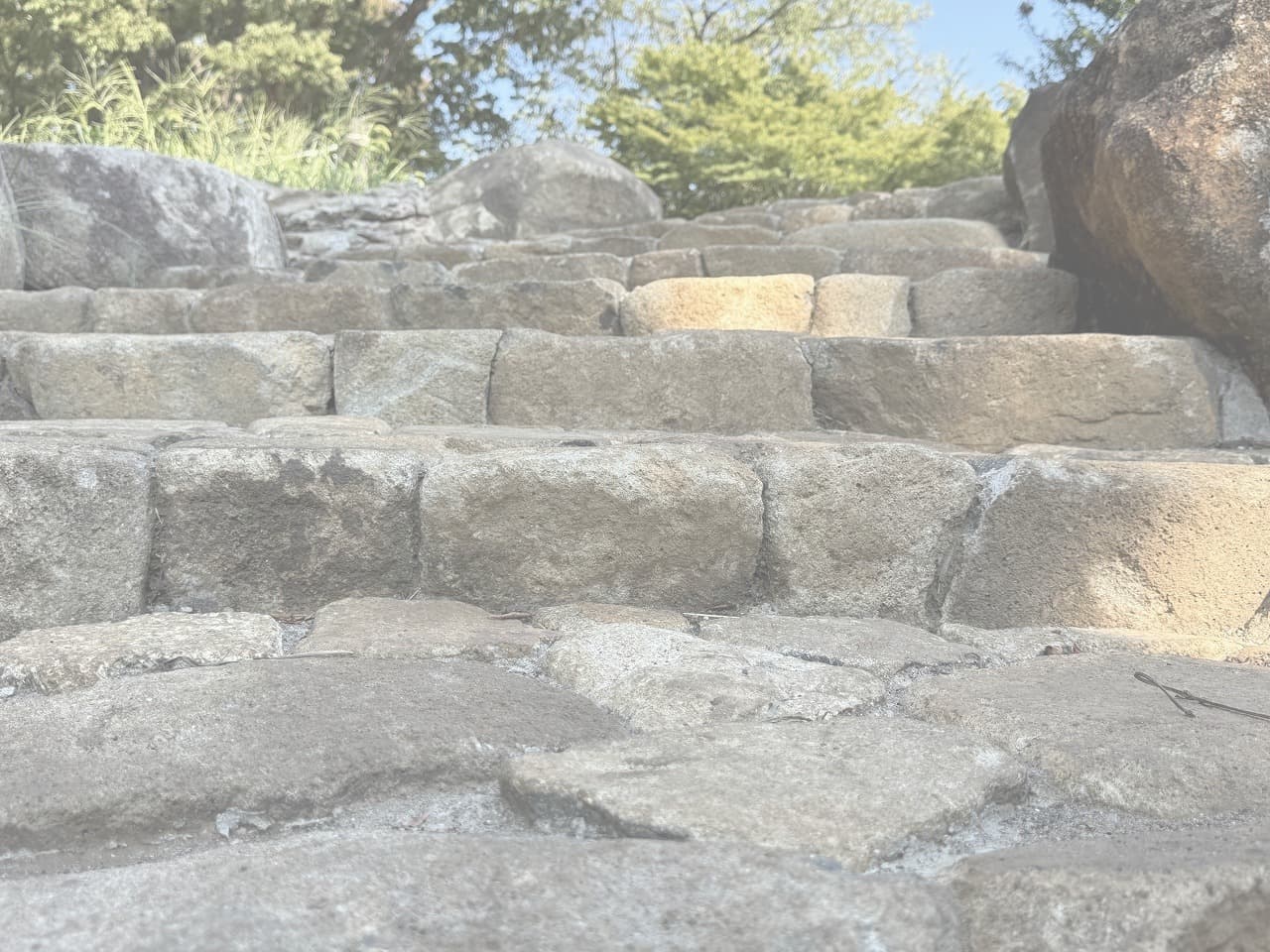 大蔵運動公園_湘南ロックガーデン