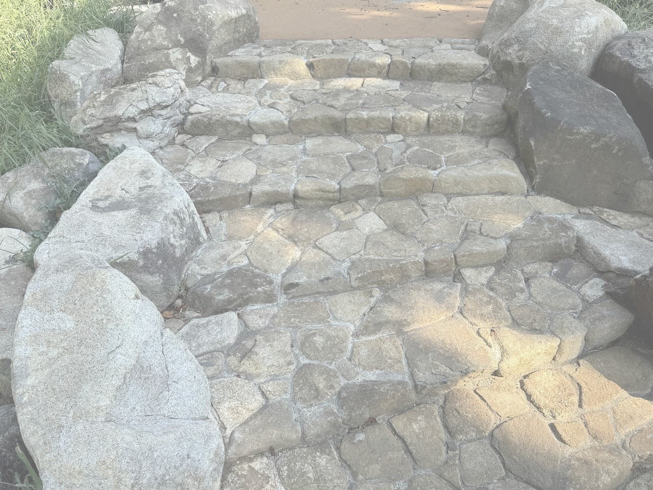 大蔵運動公園_湘南ロックガーデン