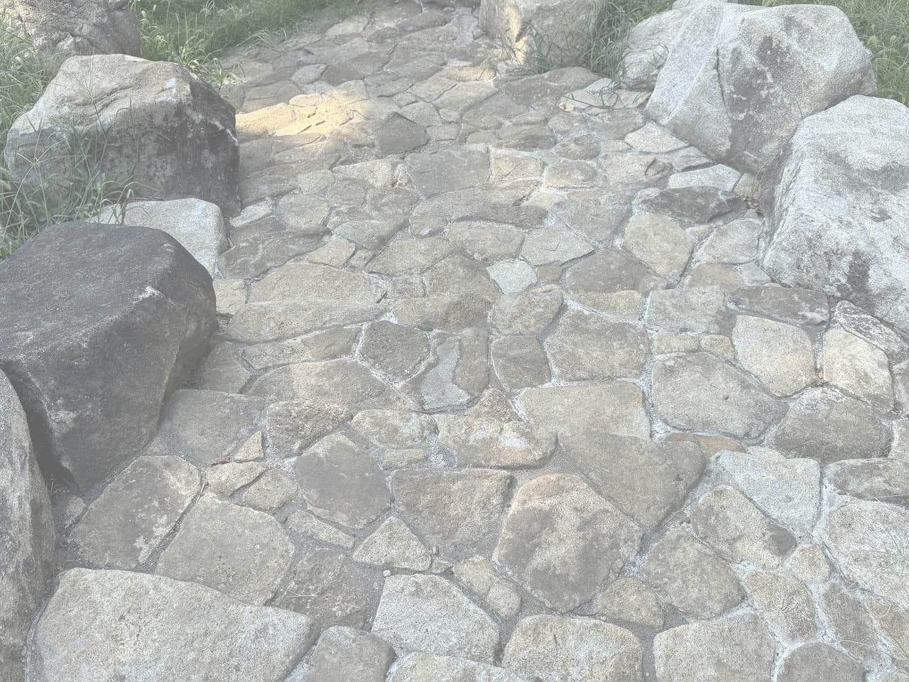 大蔵運動公園_湘南ロックガーデン