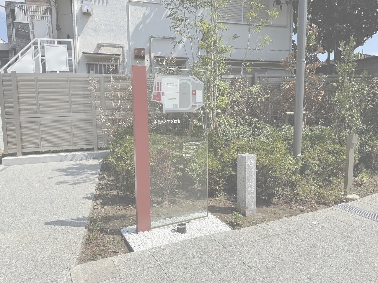 ふらっとすぎはち_湘南ロックガーデン