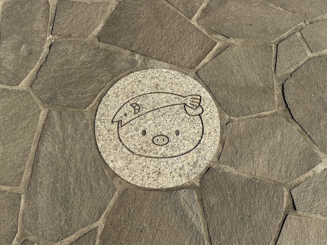 厚木中央公園_湘南ロックガーデン