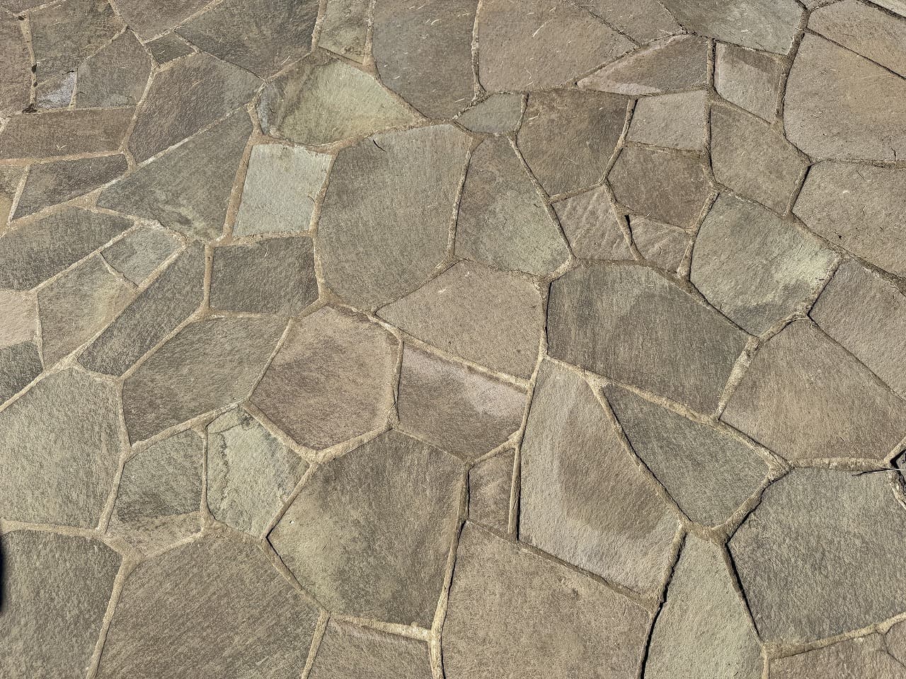 厚木中央公園_湘南ロックガーデン