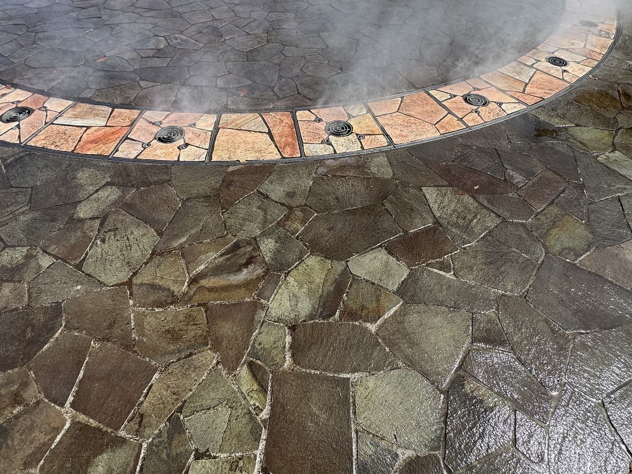 厚木中央公園_湘南ロックガーデン