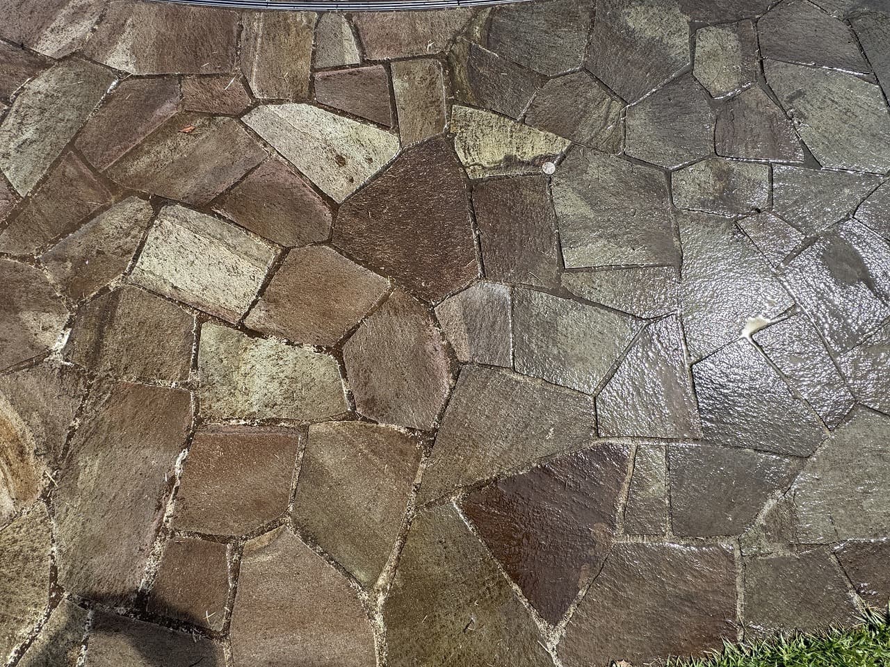 厚木中央公園_湘南ロックガーデン