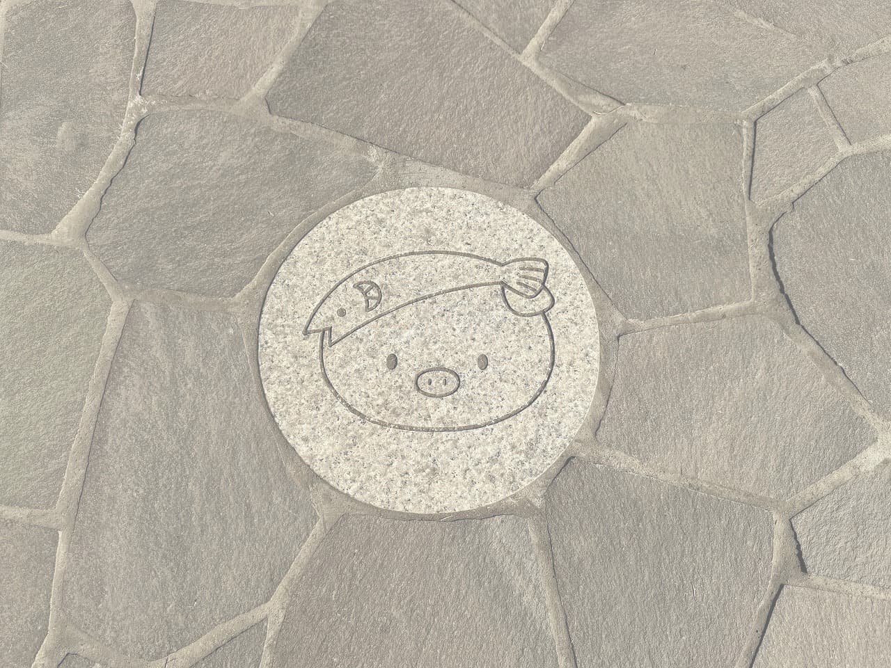 厚木中央公園_湘南ロックガーデン