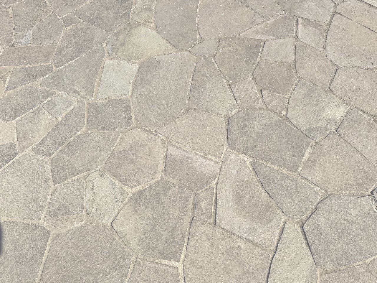 厚木中央公園_湘南ロックガーデン