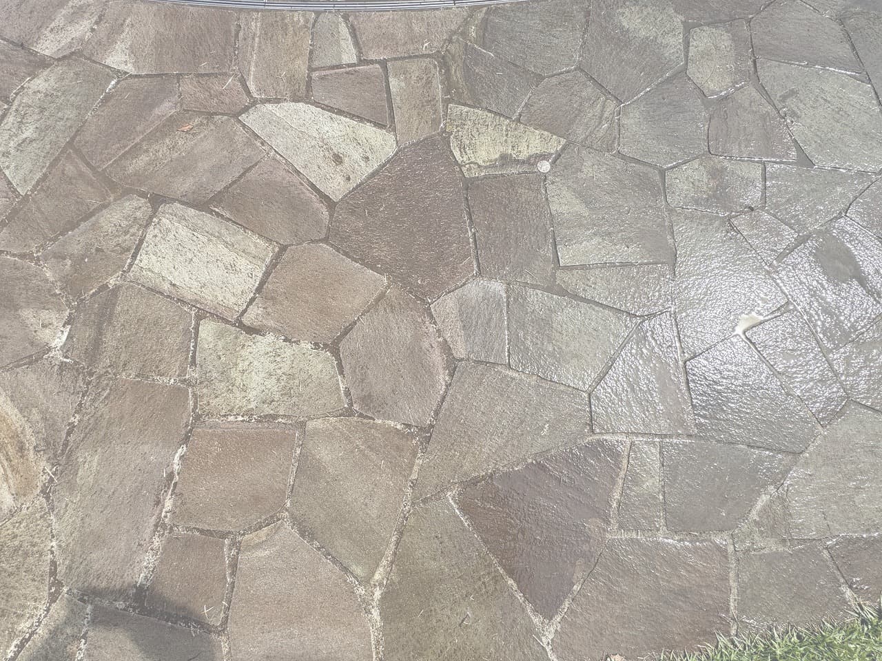 厚木中央公園_湘南ロックガーデン