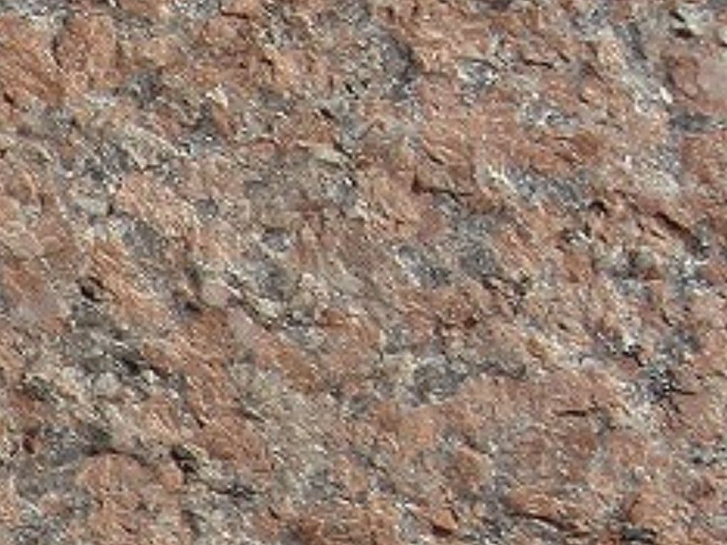 G562_湘南ロックガーデン