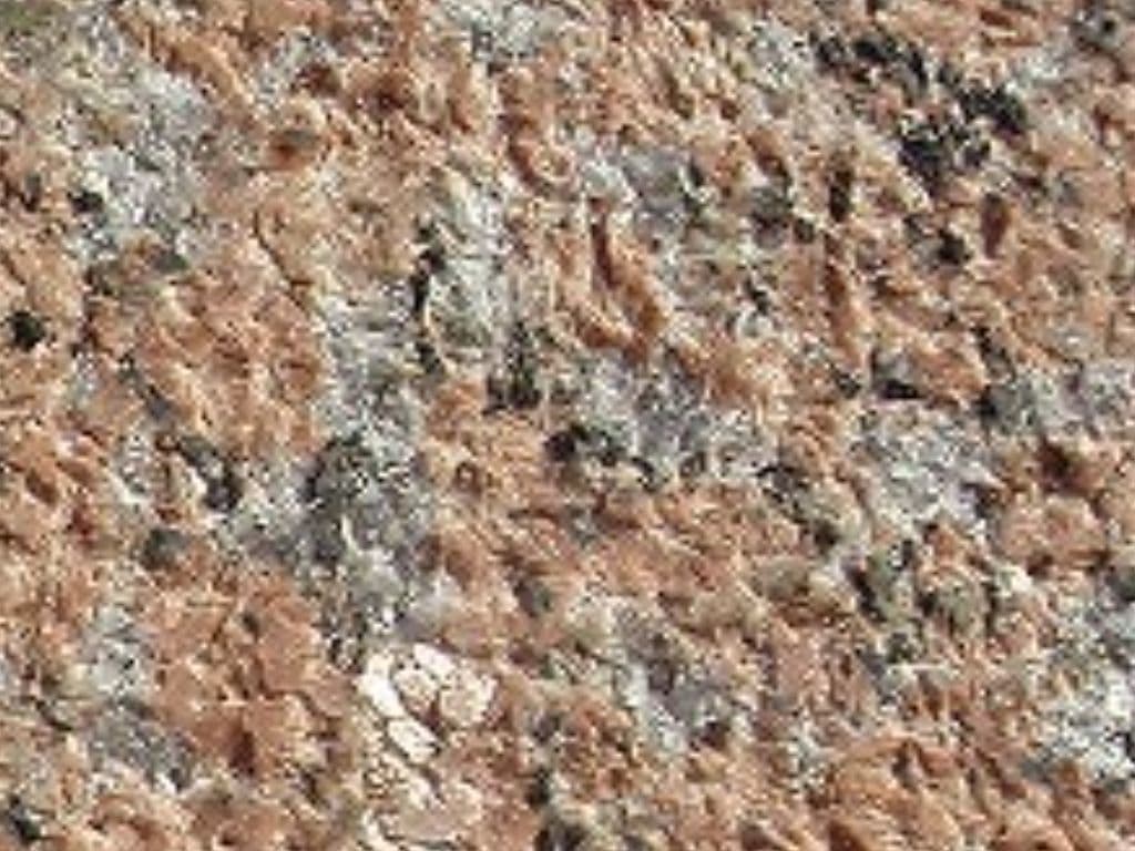 G562_湘南ロックガーデン