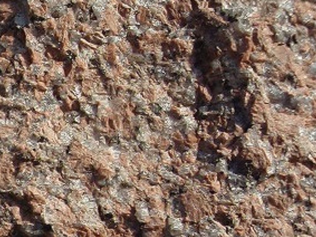 G562_湘南ロックガーデン