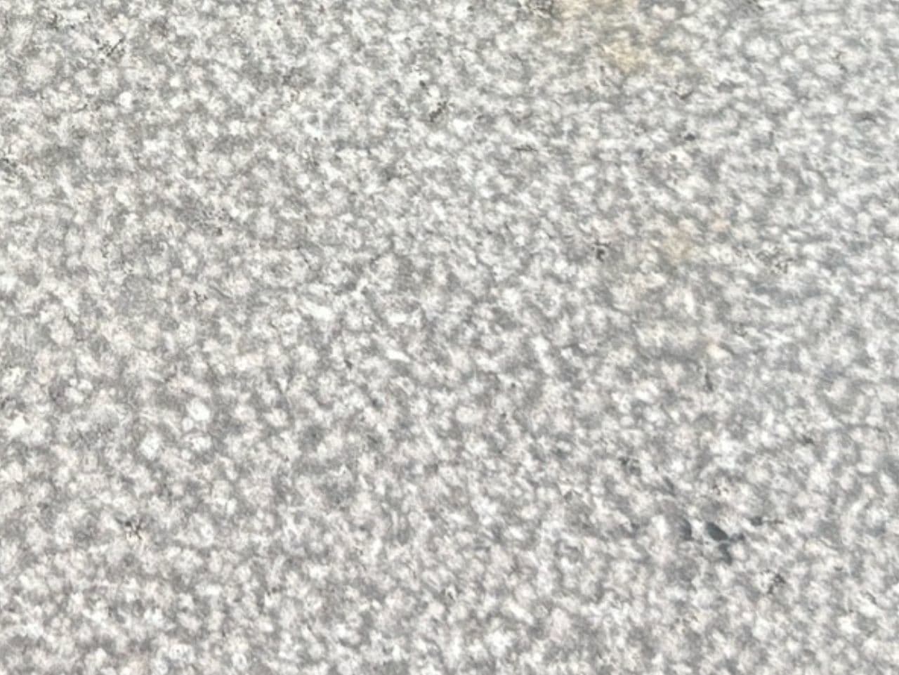 小松石_湘南ロックガーデン